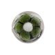 Forest Green Glass Wine Stopper Knob